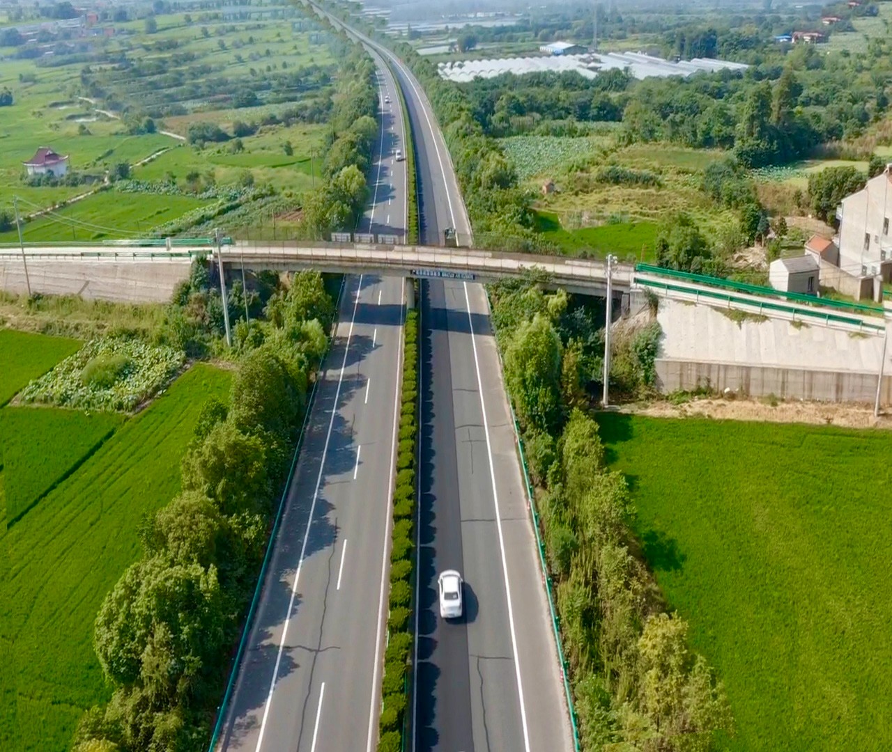 �������֡������,ܰ����,��ѡ��