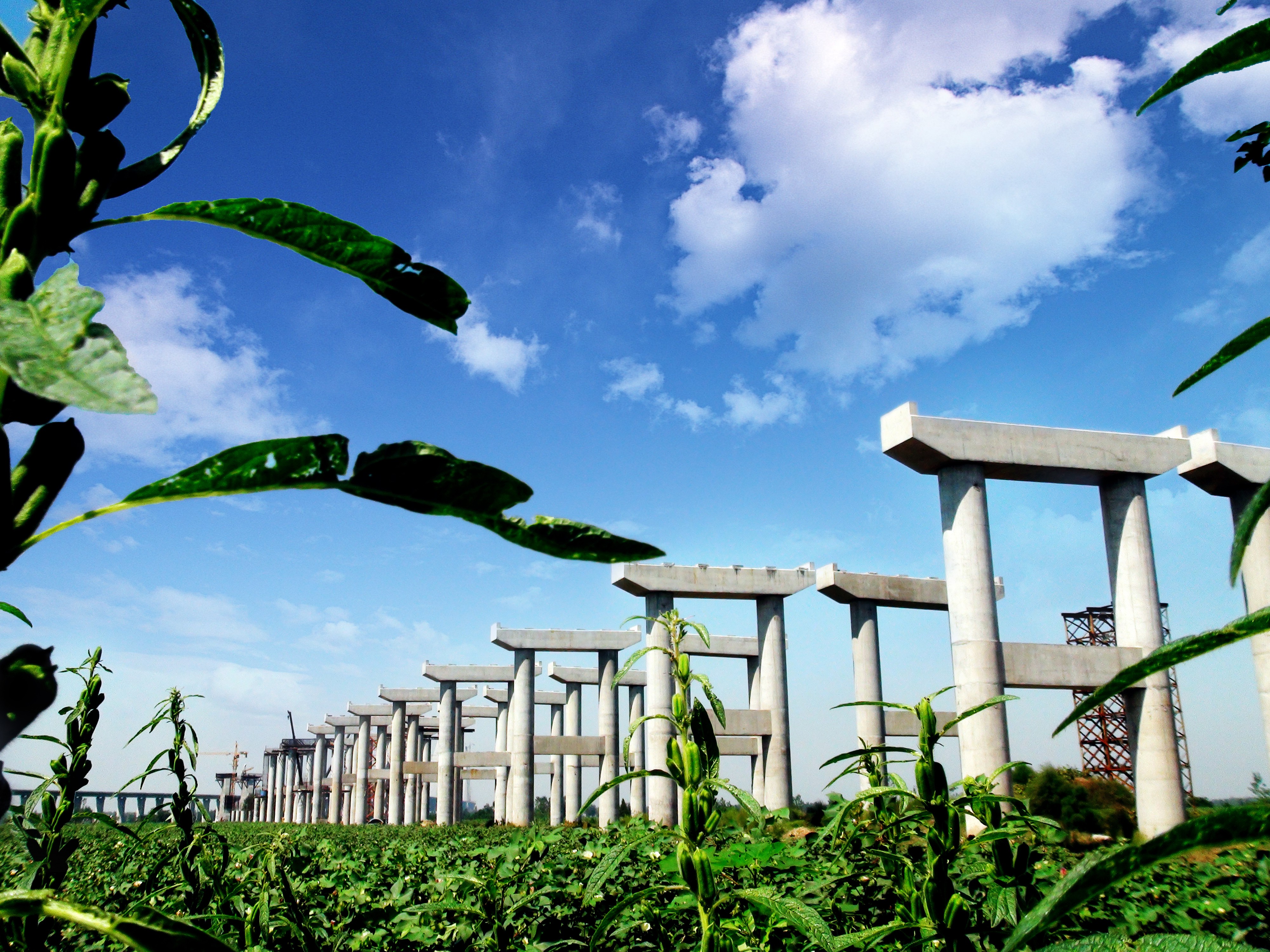 �������֡������,ܰ����,��ѡ��